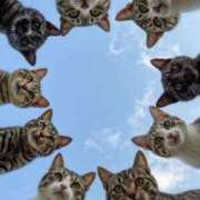 ヒメ日記 2025/12/24 13:50 投稿 のの 熟女の風俗最終章 相模原店