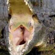 ヒメ日記 2026/03/01 00:00 投稿 のの 熟女の風俗最終章 相模原店