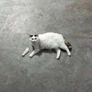 ヒメ日記 2026/03/09 13:00 投稿 のの 熟女の風俗最終章 相模原店