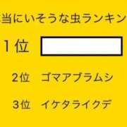 ヒメ日記 2023/12/15 13:57 投稿 のの 熟女の風俗最終章 町田店