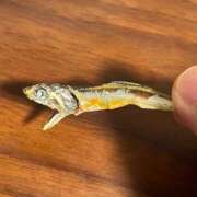 ヒメ日記 2025/02/17 00:22 投稿 のの 熟女の風俗最終章 町田店