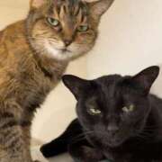 ヒメ日記 2025/02/22 02:08 投稿 のの 熟女の風俗最終章 町田店