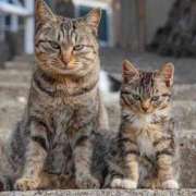 ヒメ日記 2025/03/14 03:51 投稿 のの 熟女の風俗最終章 町田店