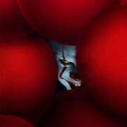 ヒメ日記 2025/03/16 01:21 投稿 のの 熟女の風俗最終章 町田店