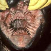 ヒメ日記 2025/05/03 14:40 投稿 のの 熟女の風俗最終章 町田店