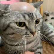 ヒメ日記 2025/05/21 18:34 投稿 のの 熟女の風俗最終章 町田店