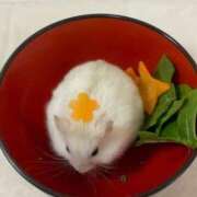 ヒメ日記 2025/06/02 12:30 投稿 のの 熟女の風俗最終章 町田店