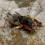 ヒメ日記 2025/07/14 12:50 投稿 のの 熟女の風俗最終章 町田店
