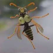 ヒメ日記 2025/07/26 13:20 投稿 のの 熟女の風俗最終章 町田店