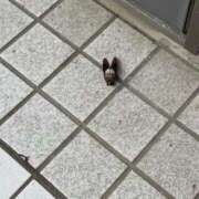 ヒメ日記 2025/08/16 18:03 投稿 のの 熟女の風俗最終章 町田店