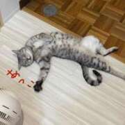 ヒメ日記 2025/08/18 13:54 投稿 のの 熟女の風俗最終章 町田店