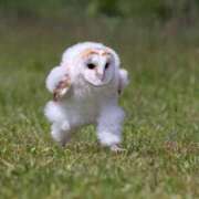 ヒメ日記 2025/08/21 13:50 投稿 のの 熟女の風俗最終章 町田店