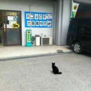 ヒメ日記 2025/09/11 12:36 投稿 のの 熟女の風俗最終章 町田店