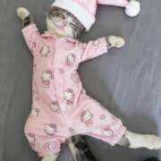 ヒメ日記 2025/09/29 13:57 投稿 のの 熟女の風俗最終章 町田店