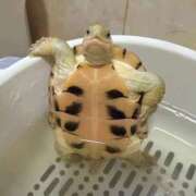 ヒメ日記 2026/01/08 20:01 投稿 のの 熟女の風俗最終章 町田店