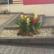 のの 道端に… 熟女の風俗最終章 町田店