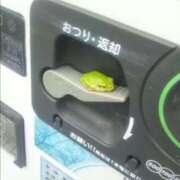 ヒメ日記 2026/01/22 13:44 投稿 のの 熟女の風俗最終章 町田店