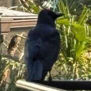 ヒメ日記 2026/01/24 13:02 投稿 のの 熟女の風俗最終章 町田店