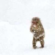 ヒメ日記 2026/01/28 14:12 投稿 のの 熟女の風俗最終章 町田店