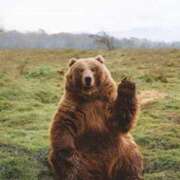 ヒメ日記 2026/01/29 19:30 投稿 のの 熟女の風俗最終章 町田店