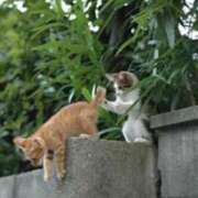 ヒメ日記 2026/02/06 13:06 投稿 のの 熟女の風俗最終章 町田店