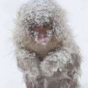 ヒメ日記 2026/02/07 13:11 投稿 のの 熟女の風俗最終章 町田店