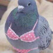 ヒメ日記 2026/02/09 14:00 投稿 のの 熟女の風俗最終章 町田店