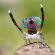 ヒメ日記 2026/02/14 12:38 投稿 のの 熟女の風俗最終章 町田店