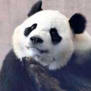 ヒメ日記 2026/02/19 01:20 投稿 のの 熟女の風俗最終章 町田店