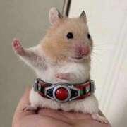 ヒメ日記 2026/02/23 12:31 投稿 のの 熟女の風俗最終章 町田店