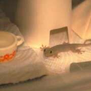 ヒメ日記 2026/03/19 14:20 投稿 のの 熟女の風俗最終章 町田店