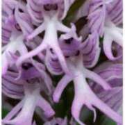 ヒメ日記 2026/03/22 18:51 投稿 のの 熟女の風俗最終章 町田店