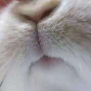 ヒメ日記 2026/03/25 12:50 投稿 のの 熟女の風俗最終章 町田店