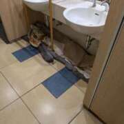 ヒメ日記 2026/04/01 19:20 投稿 のの 熟女の風俗最終章 町田店