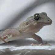 ヒメ日記 2026/04/03 15:00 投稿 のの 熟女の風俗最終章 町田店