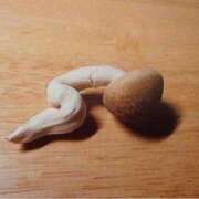 ヒメ日記 2026/04/08 04:40 投稿 のの 熟女の風俗最終章 町田店