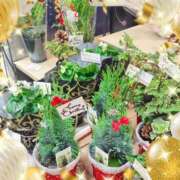 ヒメ日記 2024/12/09 11:17 投稿 はる 素人妻達☆マイふぇらレディー