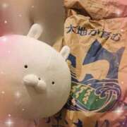 ヒメ日記 2025/10/12 00:02 投稿 金刃(かねと) 西川口デッドボール