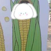 ヒメ日記 2025/10/31 12:20 投稿 金刃(かねと) 西川口デッドボール