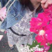 ヒメ日記 2025/05/17 21:56 投稿 森藤日香莉 五十路マダム愛されたい熟女たち 福山店(カサブランカグループ)