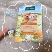 ヒメ日記 2025/02/06 23:49 投稿 さゆみ チェックイン素人専門大人女子