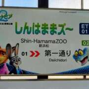 ヒメ日記 2026/01/06 11:14 投稿 かなう 即アポ奥さん～浜松店～