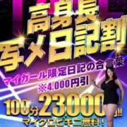 ヒメ日記 2023/11/11 10:00 投稿 KIWA TALL