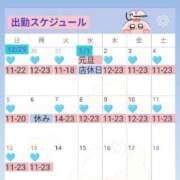 ヒメ日記 2025/01/05 11:39 投稿 KIWA TALL