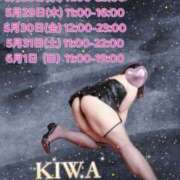 ヒメ日記 2025/05/28 12:22 投稿 KIWA TALL