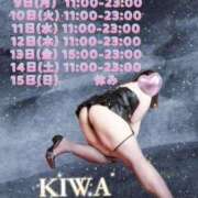 ヒメ日記 2025/06/09 18:59 投稿 KIWA TALL