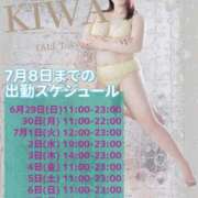 ヒメ日記 2025/06/29 11:29 投稿 KIWA TALL