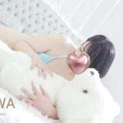 KIWA 甘えん坊ちゃん‎🤍 TALL