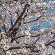 ヒメ日記 2025/04/07 20:07 投稿 あき アバンチュール（難波）