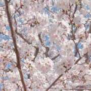 あき 🌸 アバンチュール（難波）